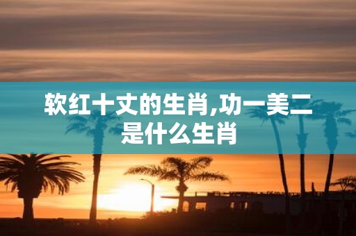 软红十丈的生肖,功一美二是什么生肖