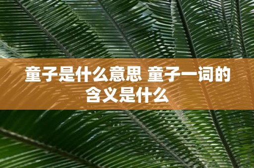 童子是什么意思 童子一词的含义是什么