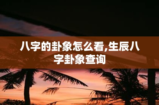 八字的卦象怎么看,生辰八字卦象查询