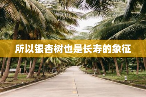 所以银杏树也是长寿的象征