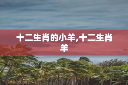 十二生肖的小羊,十二生肖羊