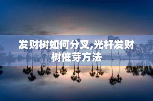 发财树如何分叉,光杆发财树催芽方法