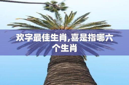 欢字最佳生肖,喜是指哪六个生肖