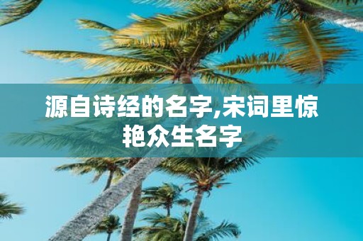 源自诗经的名字,宋词里惊艳众生名字