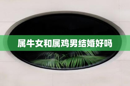 属牛女和属鸡男结婚好吗