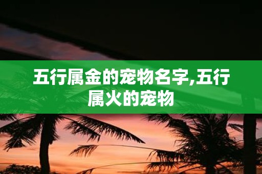 五行属金的宠物名字,五行属火的宠物