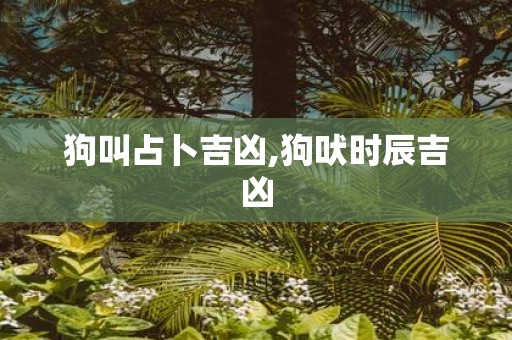 狗叫占卜吉凶,狗吠时辰吉凶