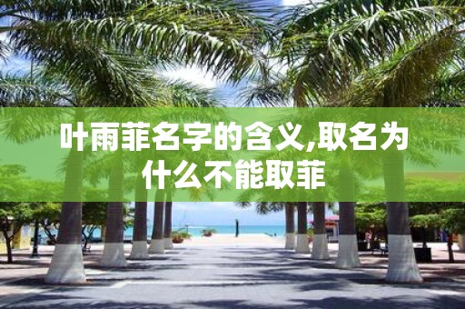 叶雨菲名字的含义,取名为什么不能取菲