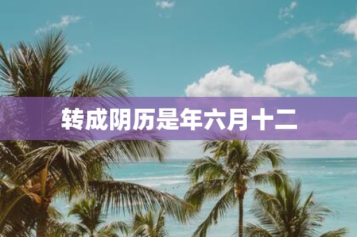 转成阴历是年六月十二