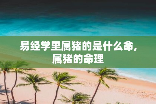易经学里属猪的是什么命,属猪的命理