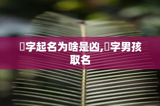 炘字起名为啥是凶,炘字男孩取名