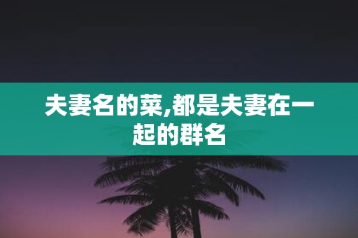 夫妻名的菜,都是夫妻在一起的群名
