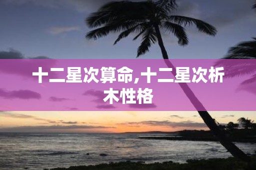 十二星次算命,十二星次析木性格