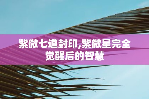 紫微七道封印,紫微星完全觉醒后的智慧