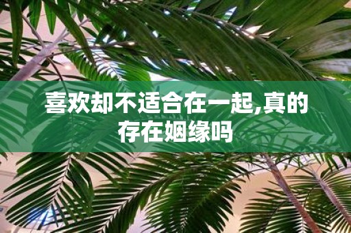 喜欢却不适合在一起,真的存在姻缘吗