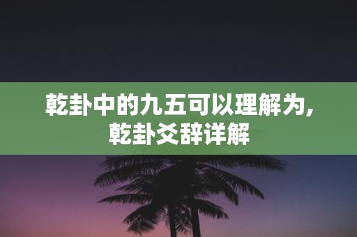 乾卦中的九五可以理解为,乾卦爻辞详解