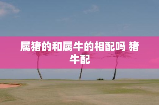 属猪的和属牛的相配吗 猪牛配