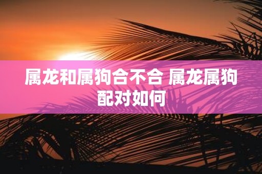 属龙和属狗合不合 属龙属狗配对如何