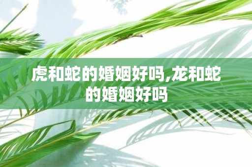 虎和蛇的婚姻好吗,龙和蛇的婚姻好吗