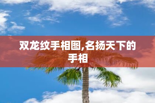 双龙纹手相图,名扬天下的手相