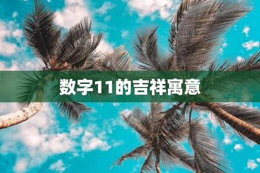 数字11的吉祥寓意