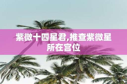 紫微十四星君,推查紫微星所在宫位