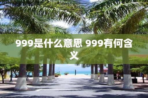 999是什么意思 999有何含义