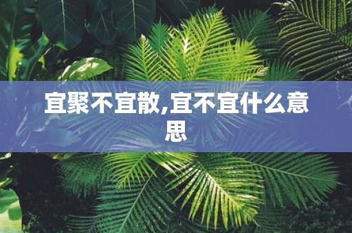 宜聚不宜散,宜不宜什么意思