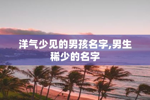洋气少见的男孩名字,男生稀少的名字