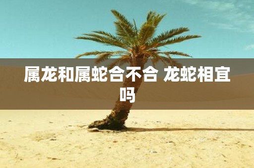 属龙和属蛇合不合 龙蛇相宜吗