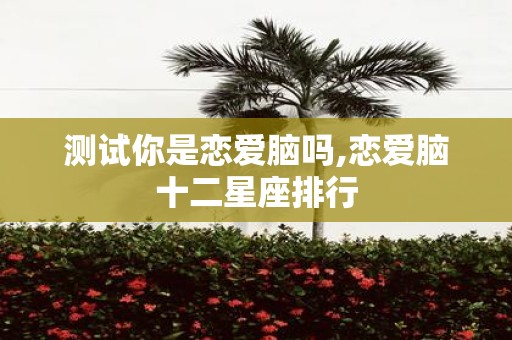 测试你是恋爱脑吗,恋爱脑十二星座排行