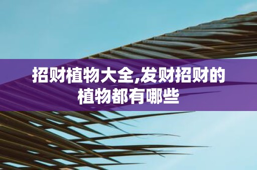 招财植物大全,发财招财的植物都有哪些