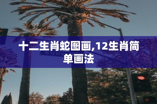 十二生肖蛇图画,12生肖简单画法