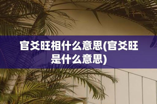 官爻旺相什么意思(官爻旺是什么意思)