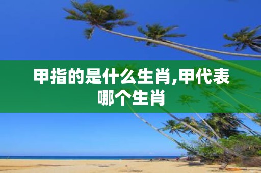 甲指的是什么生肖,甲代表哪个生肖