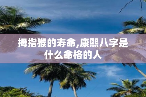 拇指猴的寿命,康熙八字是什么命格的人