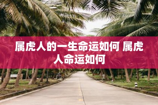 属虎人的一生命运如何 属虎人命运如何