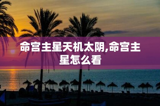命宫主星天机太阴,命宫主星怎么看