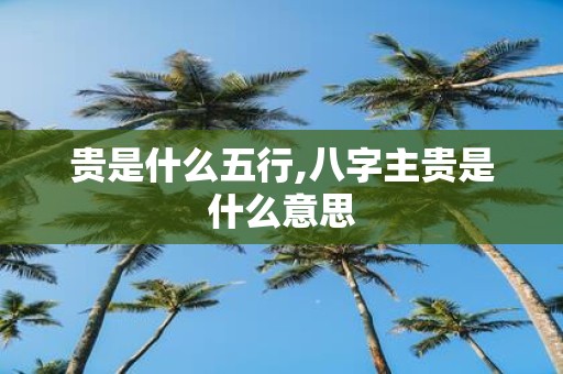 贵是什么五行,八字主贵是什么意思
