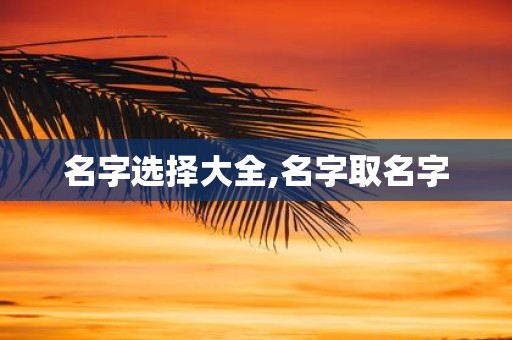 名字选择大全,名字取名字