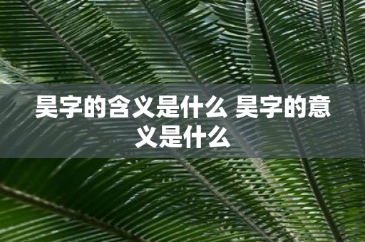 昊字的含义是什么 昊字的意义是什么