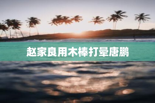 赵家良用木棒打晕唐鹏