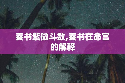 奏书紫微斗数,奏书在命宫的解释