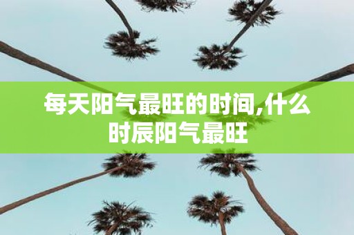 每天阳气最旺的时间,什么时辰阳气最旺
