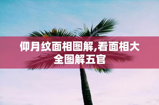 仰月纹面相图解,看面相大全图解五官