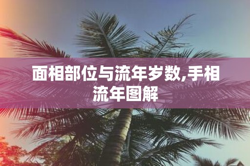 面相部位与流年岁数,手相流年图解