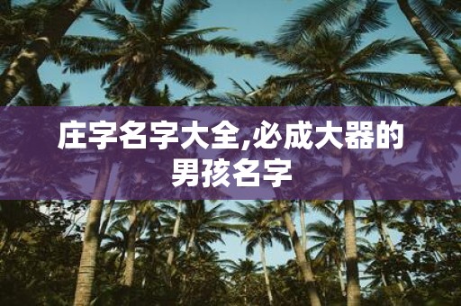 庄字名字大全,必成大器的男孩名字