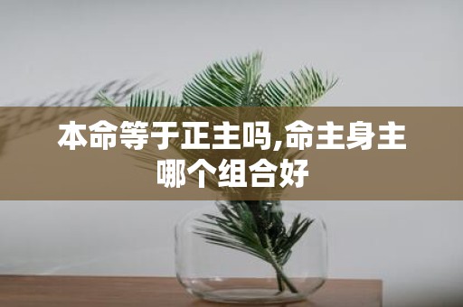 本命等于正主吗,命主身主哪个组合好