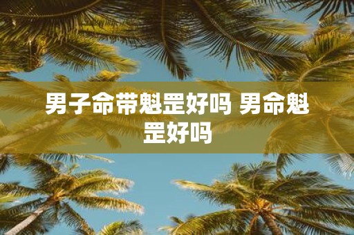 男子命带魁罡好吗 男命魁罡好吗