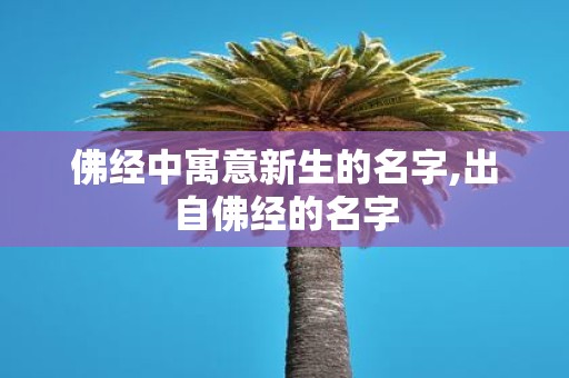 佛经中寓意新生的名字,出自佛经的名字